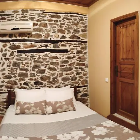 Guest house Mansion Terpou 3*