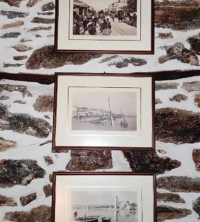 Mansion Terpou فندق