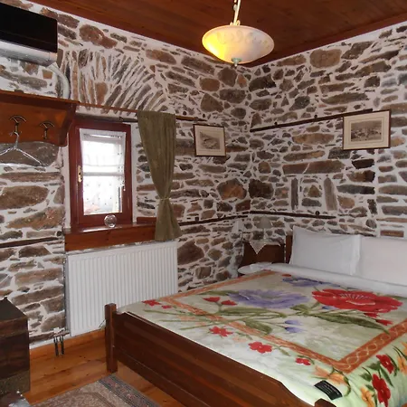 Mansion Terpou فندق